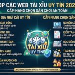 các web tài xỉu uy tín